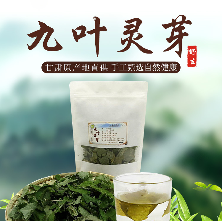 淫羊藿2_01.jpg