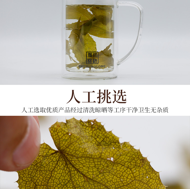 淫羊藿2_07.jpg