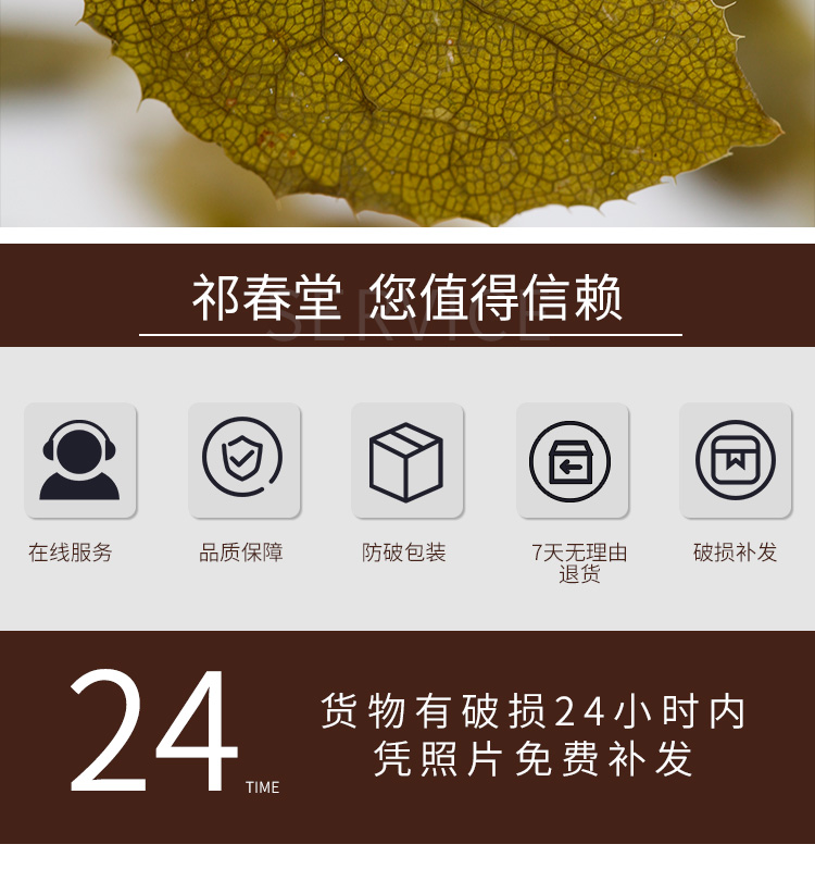 淫羊藿2_08.jpg