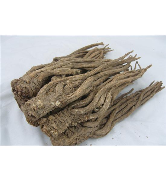 甘肃当归（药厂货）